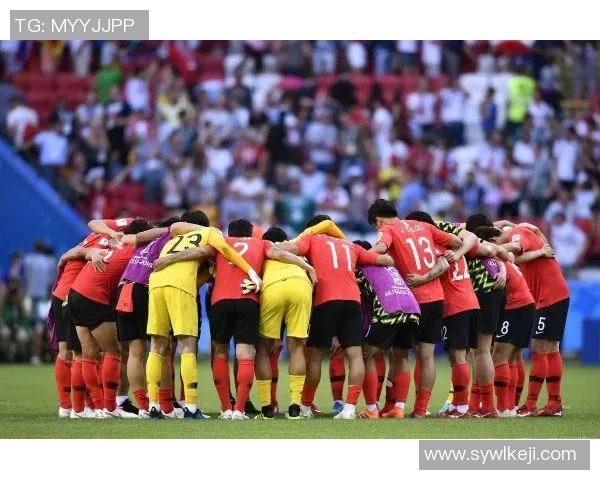 尼日利亚与波黑激战在即开球时刻引发球迷热情期待