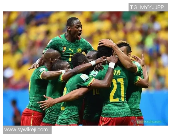 巴西与喀麦隆的精彩对决最终比分揭晓你猜对了吗