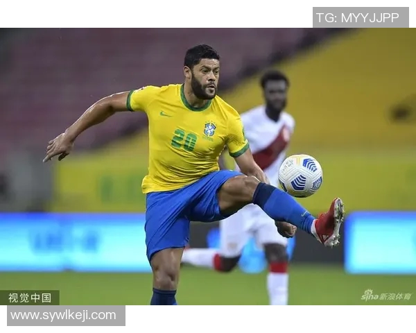 巴西对阵秘鲁新浪直播分析及比赛前瞻精彩看点汇总