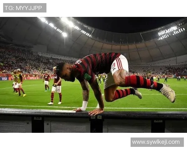 弗拉门戈与达迦马的对决：激情碰撞与荣耀之战的精彩回顾