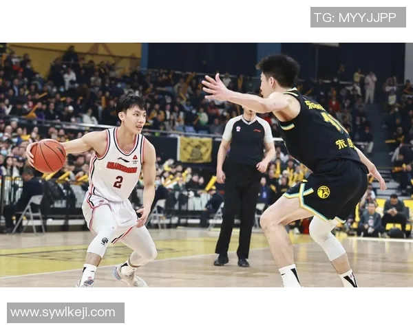 2020年浙江队与广夏队激烈对决回顾及赛季表现分析