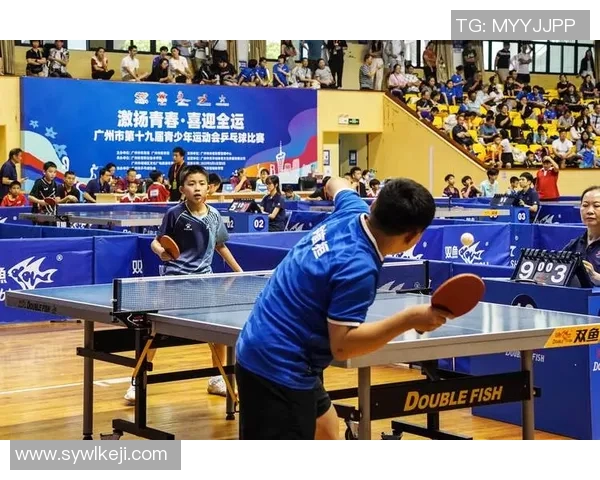 乒乓球的魅力与力量揭秘:走进杭州乒乓球队的训练与精神世界