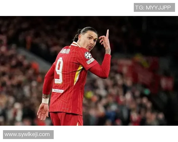 努涅斯的崛起与挑战:解析这位新星在足球界的影响力与未来潜力