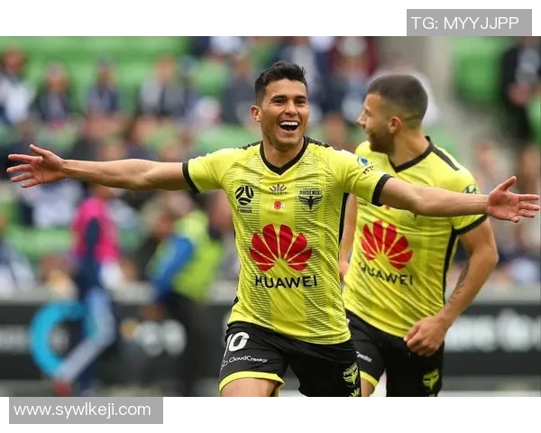 惠灵顿对阵中央海岸精彩比赛直播全程回顾与分析 惠灵顿对阵中央海岸精彩比赛直播全程回顾与分析