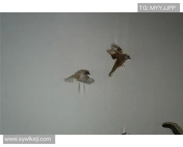 朱荣振的艺术之路:从初心到巅峰的奋斗与探索 朱荣振的艺术之路:从初心到巅峰的奋斗与探索