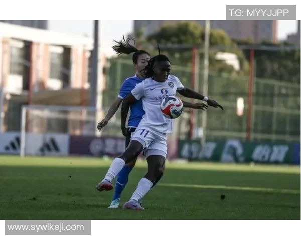 深度对话：刘磊与足球的缘分与追梦之路探秘