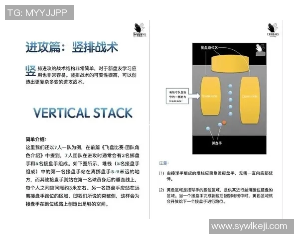 南京飞盘队的节奏分析与战术探讨让我们一起领略飞盘魅力