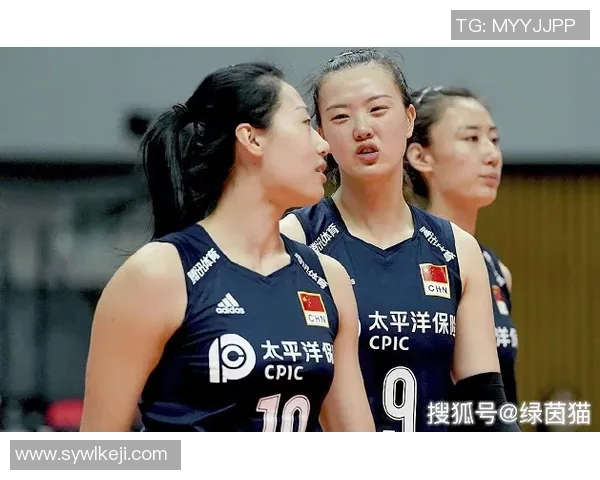 南京排球队在全国排球耐力排行榜中荣获第九名展现出强大实力与潜力