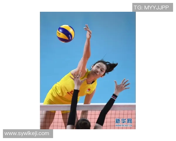 对话杨强：谈排球生涯