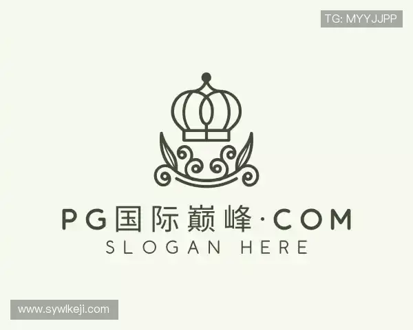 认识PG国际